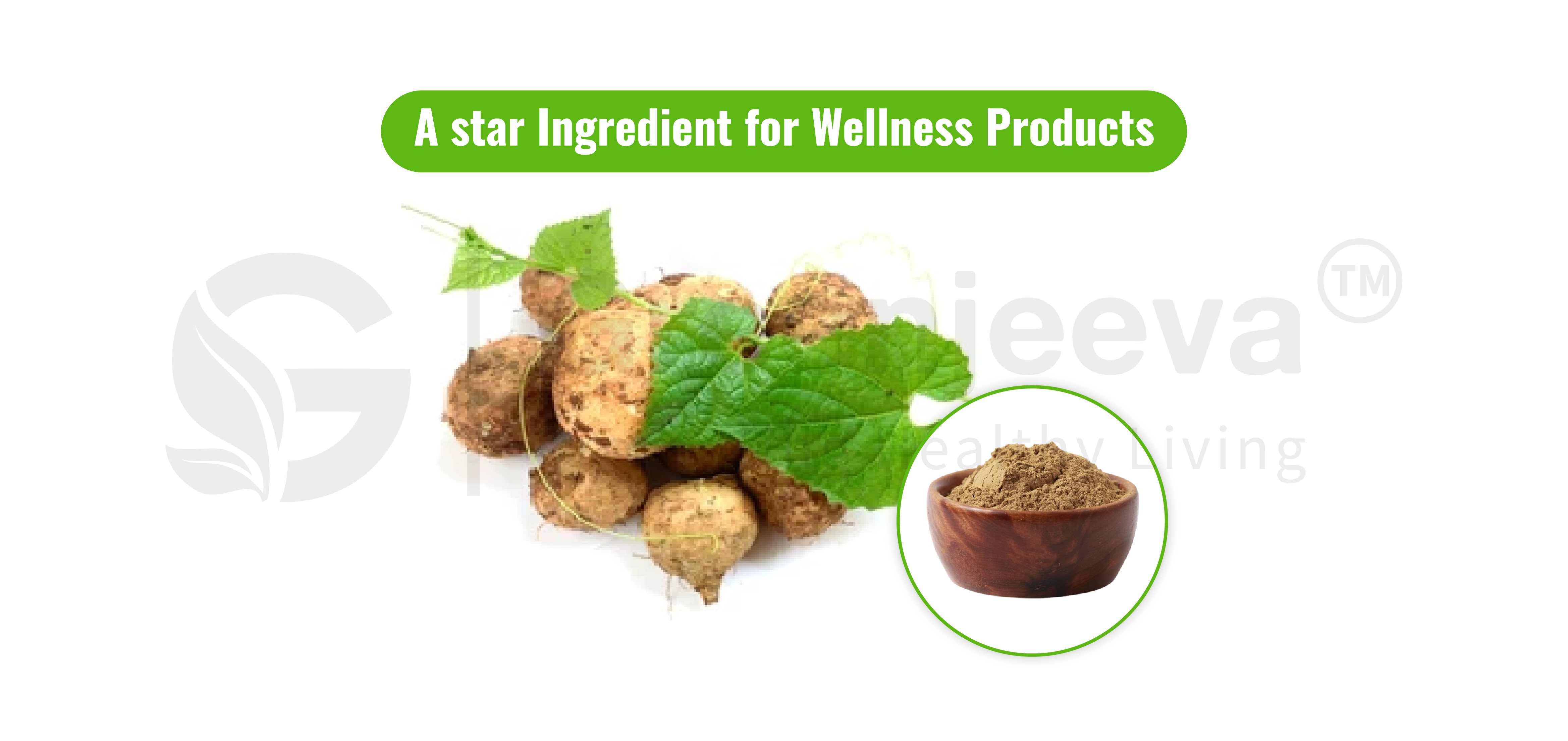 Supercharge Your Products with the Power of Wild Yam Powder 